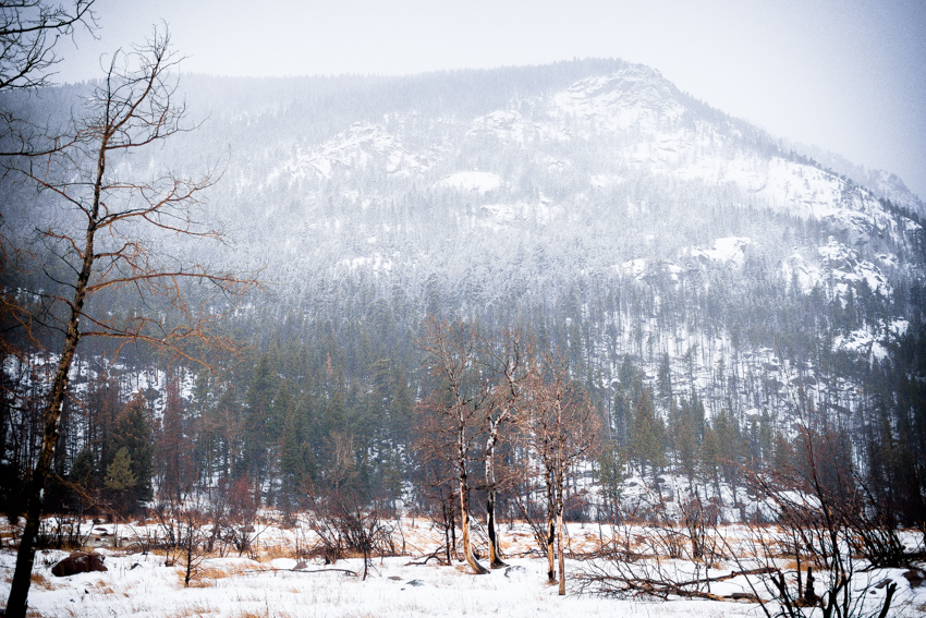 Cub Lake Snowshoe